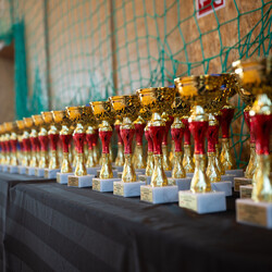 IX Puchar Śląska Dzieci i Młodzieży Karate Kyokushin