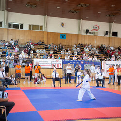 IX Puchar Śląska Dzieci i Młodzieży Karate Kyokushin