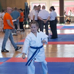 IX Puchar Śląska Dzieci i Młodzieży Karate Kyokushin