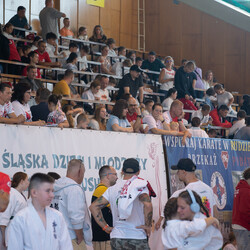IX Puchar Śląska Dzieci i Młodzieży Karate Kyokushin
