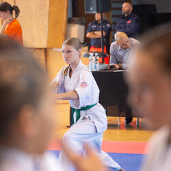 IX Puchar Śląska Dzieci i Młodzieży Karate Kyokushin