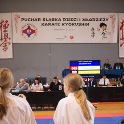 IX Puchar Śląska Dzieci i Młodzieży Karate Kyokushin