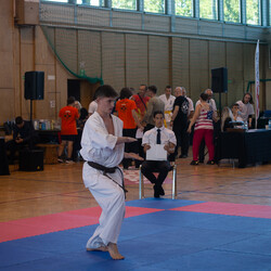 IX Puchar Śląska Dzieci i Młodzieży Karate Kyokushin