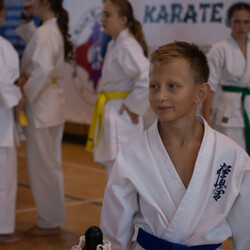 IX Puchar Śląska Dzieci i Młodzieży Karate Kyokushin