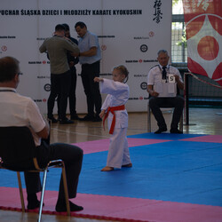 IX Puchar Śląska Dzieci i Młodzieży Karate Kyokushin