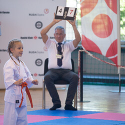 IX Puchar Śląska Dzieci i Młodzieży Karate Kyokushin