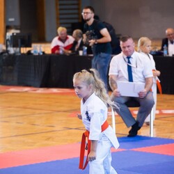 IX Puchar Śląska Dzieci i Młodzieży Karate Kyokushin