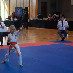 IX Puchar Śląska Dzieci i Młodzieży Karate Kyokushin