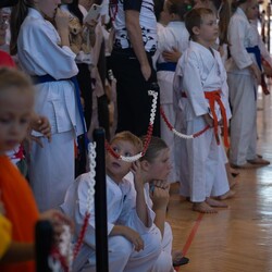 IX Puchar Śląska Dzieci i Młodzieży Karate Kyokushin
