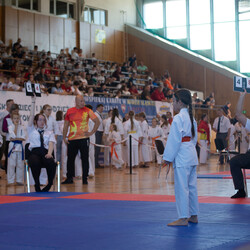 IX Puchar Śląska Dzieci i Młodzieży Karate Kyokushin