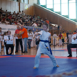 IX Puchar Śląska Dzieci i Młodzieży Karate Kyokushin