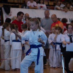 IX Puchar Śląska Dzieci i Młodzieży Karate Kyokushin