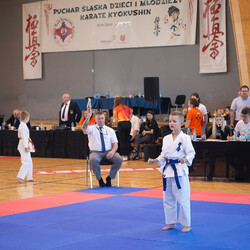 IX Puchar Śląska Dzieci i Młodzieży Karate Kyokushin