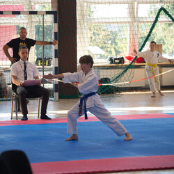 IX Puchar Śląska Dzieci i Młodzieży Karate Kyokushin