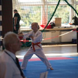 IX Puchar Śląska Dzieci i Młodzieży Karate Kyokushin