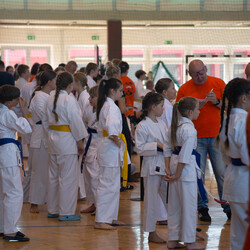 IX Puchar Śląska Dzieci i Młodzieży Karate Kyokushin