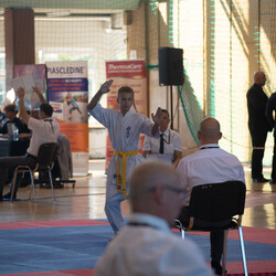 IX Puchar Śląska Dzieci i Młodzieży Karate Kyokushin