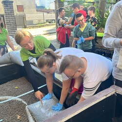 Ogród deszczowy w Zespole Szkół nr 7