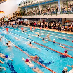 Zawody UKS Manta Kochłowice