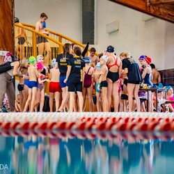 Zawody UKS Manta Kochłowice