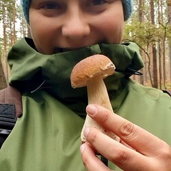 Konkurs "Pochwalcie się swoimi grzybowymi zbiorami"