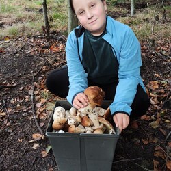 Konkurs "Pochwalcie się swoimi grzybowymi zbiorami"