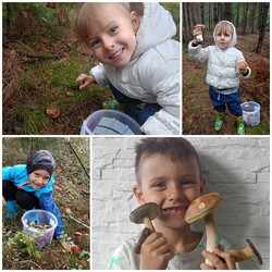 Konkurs "Pochwalcie się swoimi grzybowymi zbiorami"