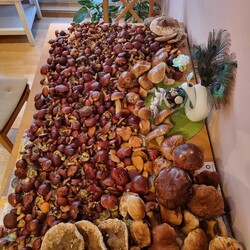 Konkurs "Pochwalcie się swoimi grzybowymi zbiorami"