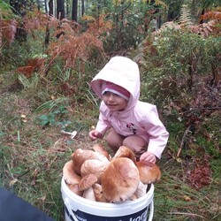 Konkurs "Pochwalcie się swoimi grzybowymi zbiorami"