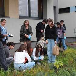 Rudzka akcja „Pola nadziei”