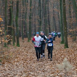 XXXI Biegi Niepodległości