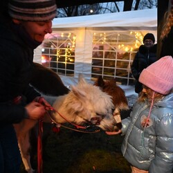 Świąteczne Kochłowice 3.0