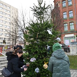 Świąteczne Drzewko Wspomnień o Naszych Pupilach
