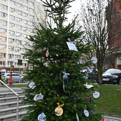 Świąteczne Drzewko Wspomnień o Naszych Pupilach