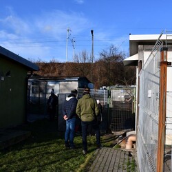 Kiermasz Świateczny TOZ Fauna