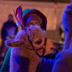 Rudzki Jarmark Świąteczny