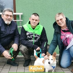 TOZ Fauna podsumowanie tygodnia