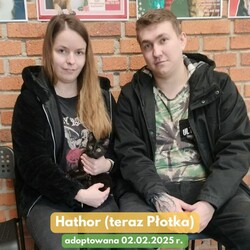 TOZ Fauna podsumowanie tygodnia