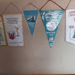 Genowefa Drużyńska