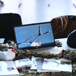 „Nasze Pasje” – święto młodzieżowych inspiracji w Rudzie Śląskiej