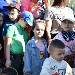 Poszukiwania jajek w Rudzie Śląskiej