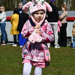 Poszukiwania jajek w Rudzie Śląskiej