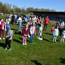 Poszukiwania jajek w Rudzie Śląskiej