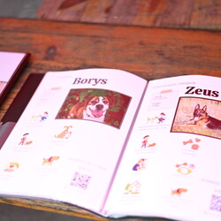 3. urodziny Fundacji "Zapasy Sportem Wszystkich Dzieci"