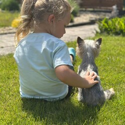 Dzień Dziecka - konkurs