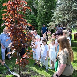 Festiwal Ekologiczny w Rudzie Śląskiej – dziecięcy prezydent Dominika w akcji