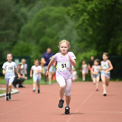 Czerwcowy Bieg Wiewiórki