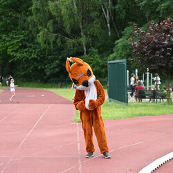 Czerwcowy Bieg Wiewiórki