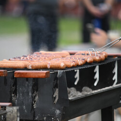 Czerwcowy Bieg Wiewiórki