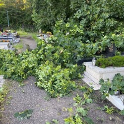 Skutki burzy w Rudzie Śląskiej